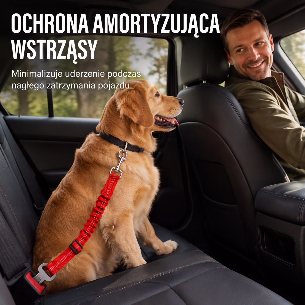 Cintura di sicurezza riflettente per animali domestici
