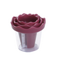 🥕✨ Spiralizzatore e Arricciatore Manuale per Verdure – Intaglio a Rosa | Trasforma le Carote in Rose da Ristorante in 60 Secondi! 🌹🍽️