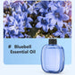 🌸Diffusore automatico per casa! Profumo costante, elimina i cattivi odori, perfetto per regalare.