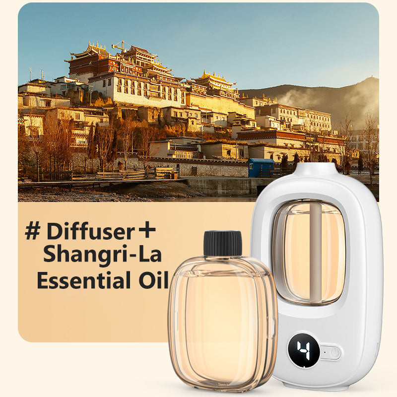 🌸Diffusore automatico per casa! Profumo costante, elimina i cattivi odori, perfetto per regalare.