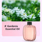 🌸Diffusore automatico per casa! Profumo costante, elimina i cattivi odori, perfetto per regalare.