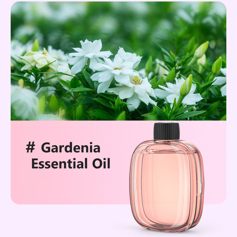 🌸Diffusore automatico per casa! Profumo costante, elimina i cattivi odori, perfetto per regalare.